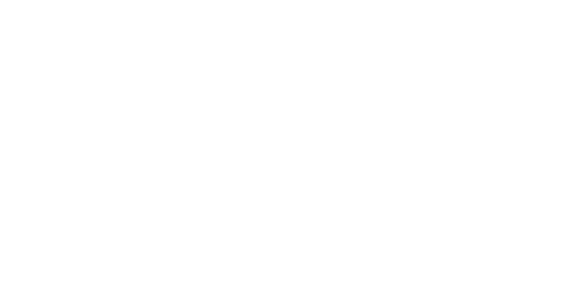 bacii the label